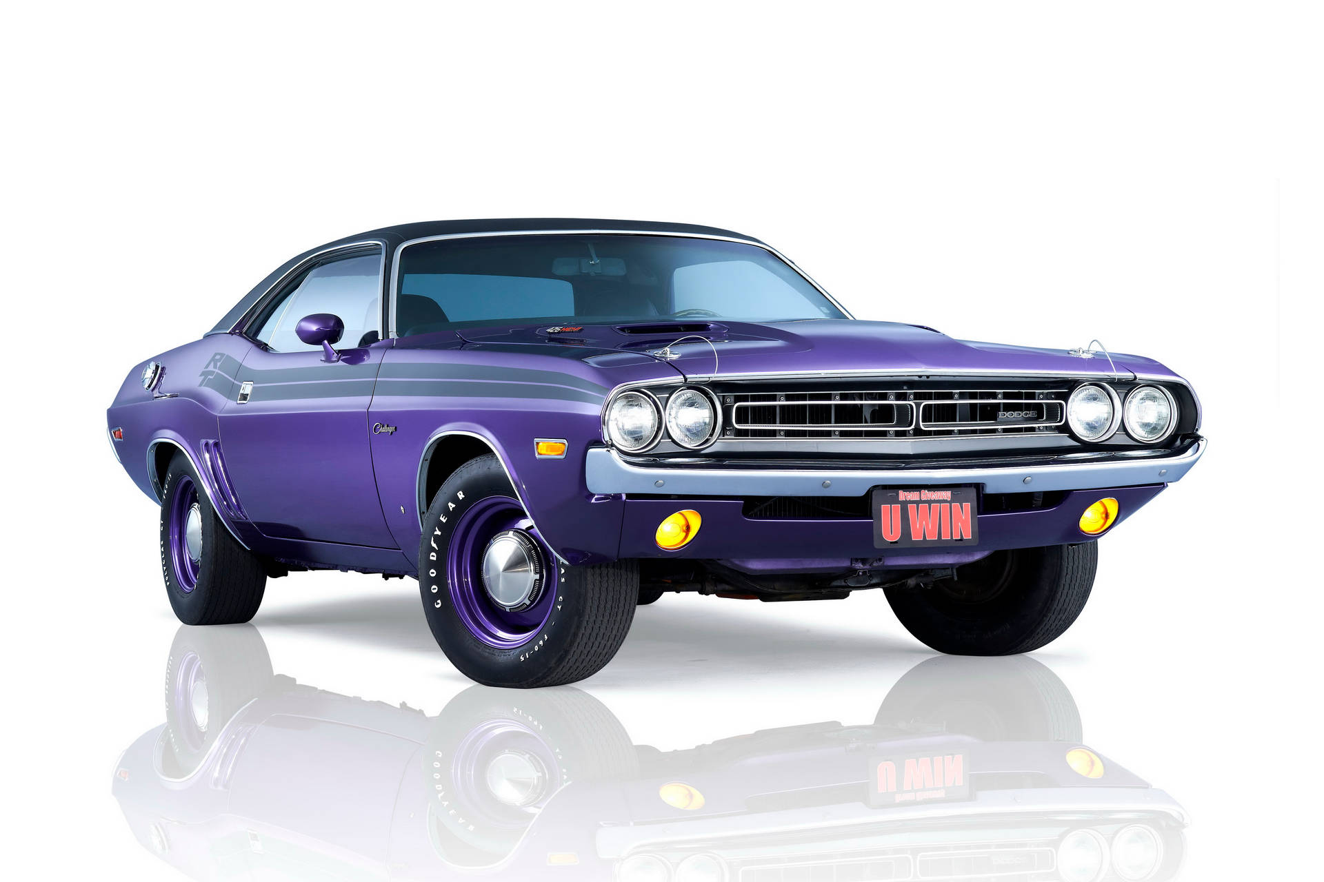 Dodge Challenger In Purple Color Wallpaper
