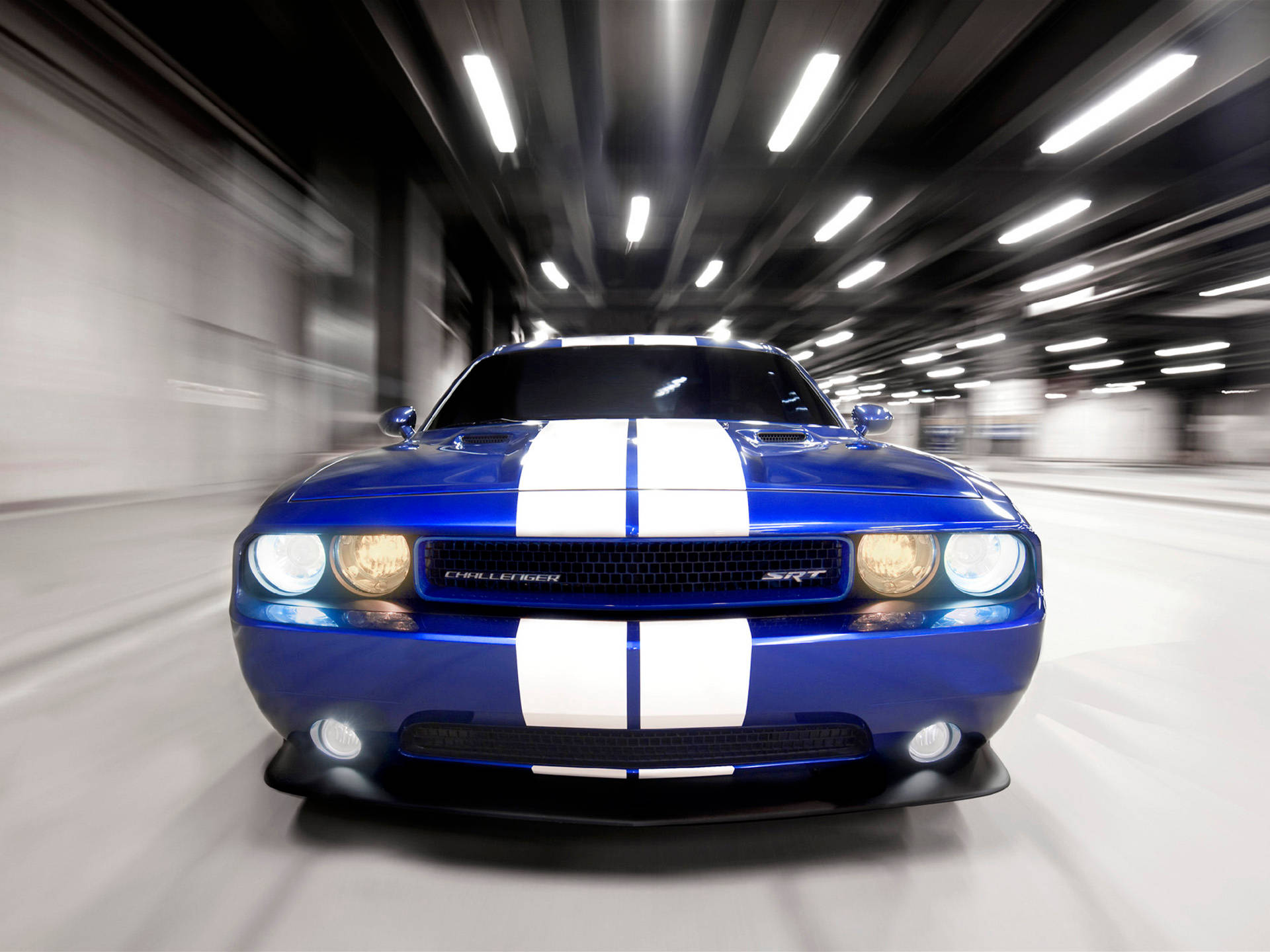 Dodge Challenger Speeding In The Road Wallpaper