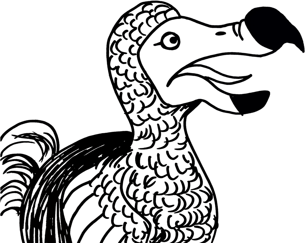 Dodo Bird Illustration PNG