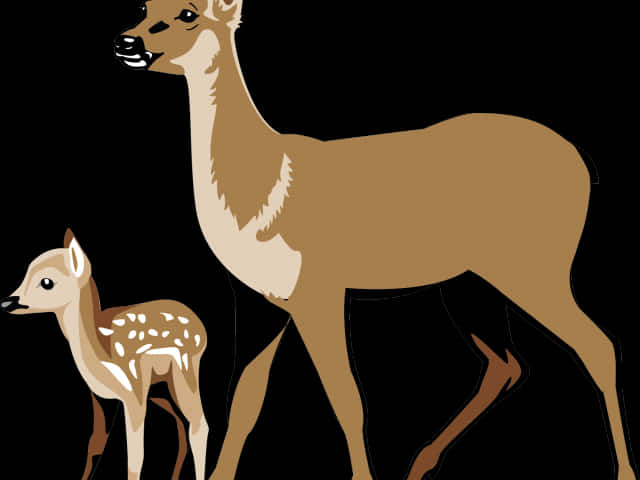 Doeand Fawn Illustration PNG