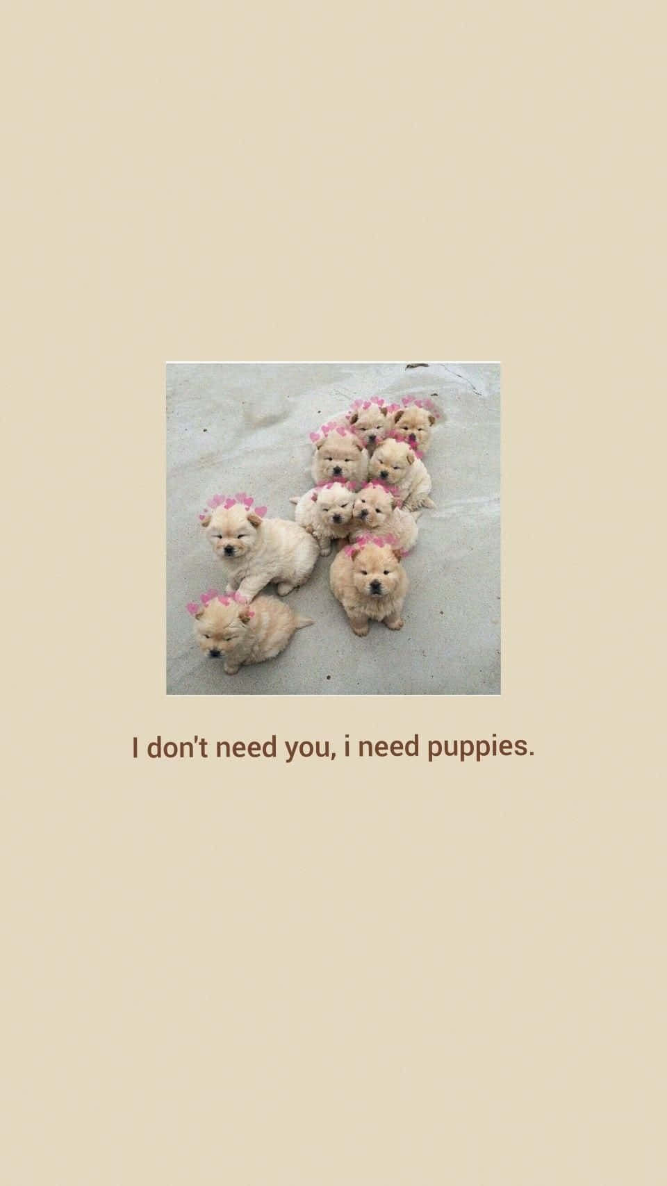 I Don't Need You I Need Puppies Wallpaper