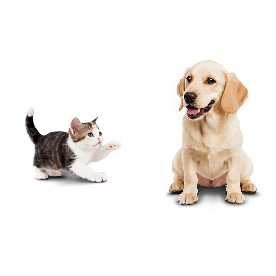 Dog And Cat Friendship Png 06242024 PNG