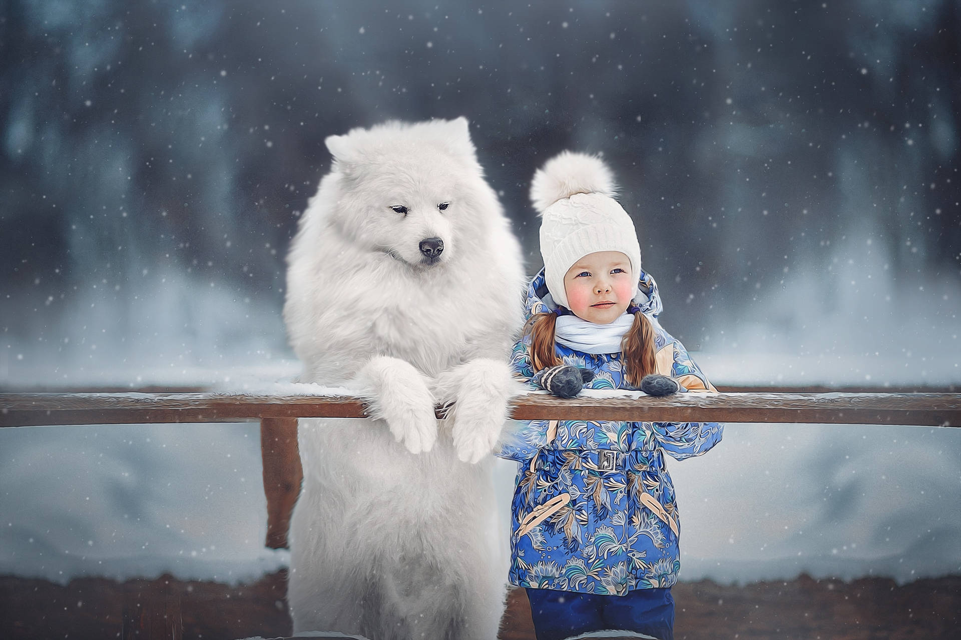 Dog And Girl Cold Field Wallpaper