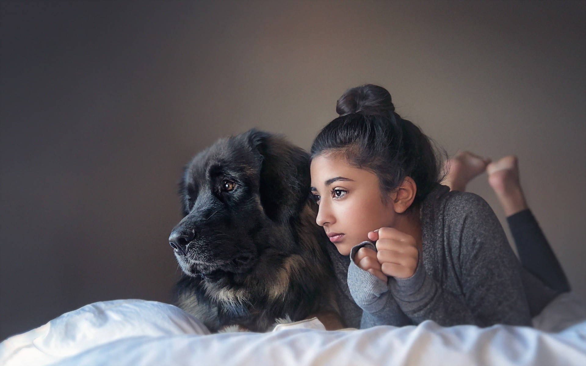 Dog And Girl Lying On A Blanket Wallpaper