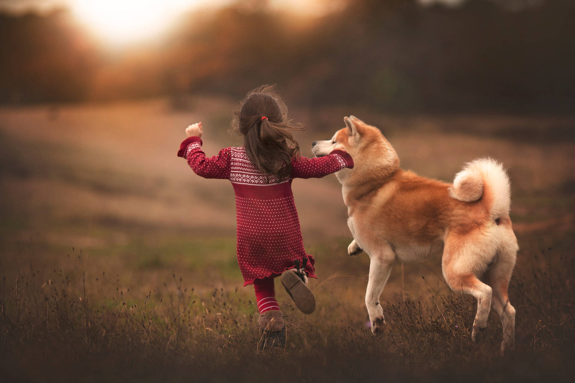 Free Dog And Girl Wallpaper Downloads, [100+] Dog And Girl Wallpapers for  FREE 