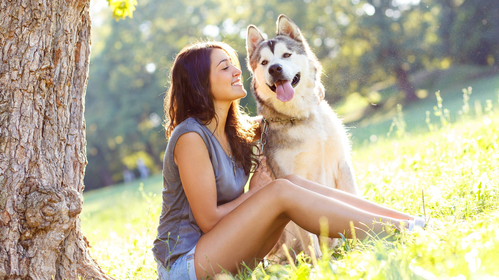 Dog And Girl Smiling Together Wallpaper