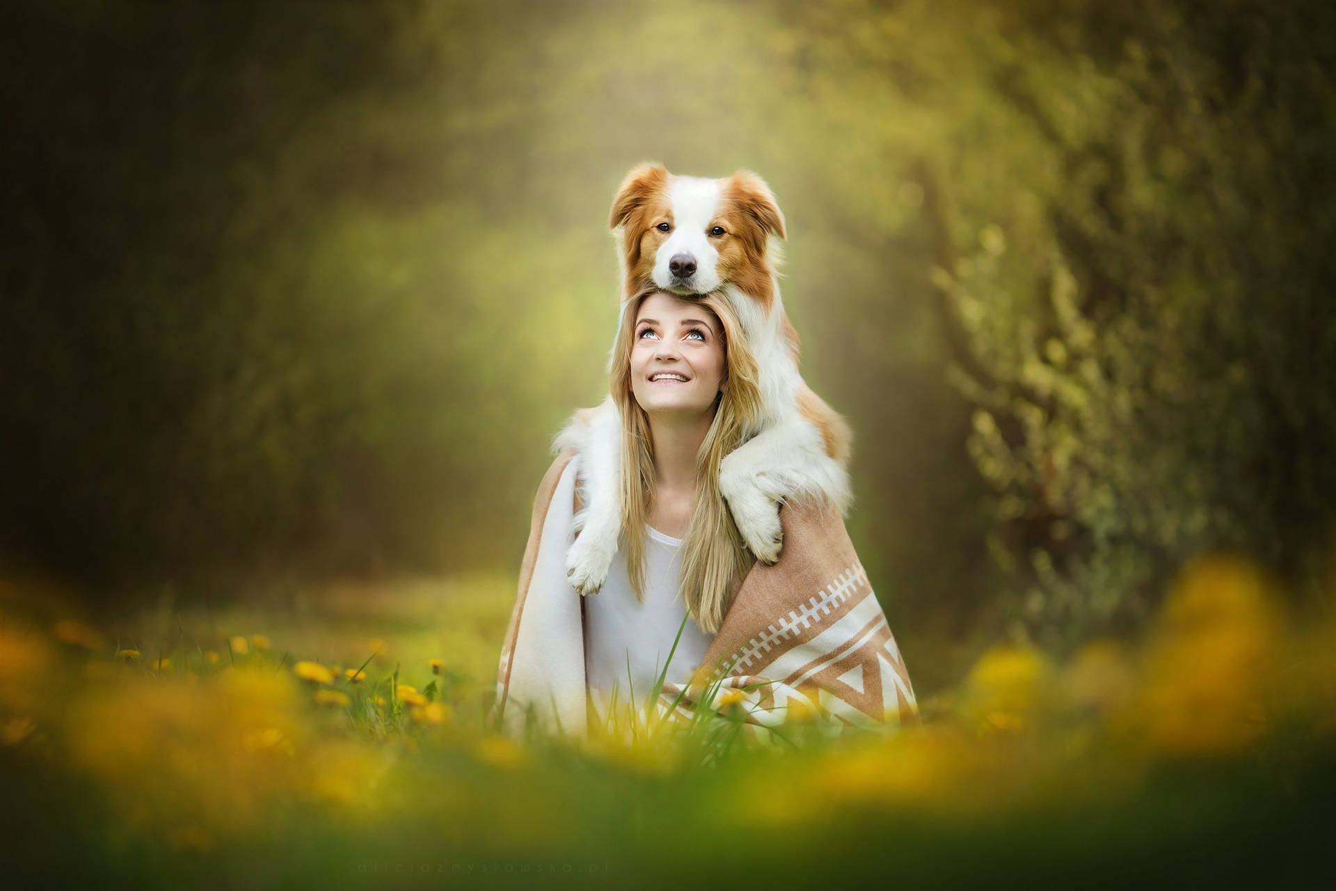 Dog And Girl Sunny Day Wallpaper