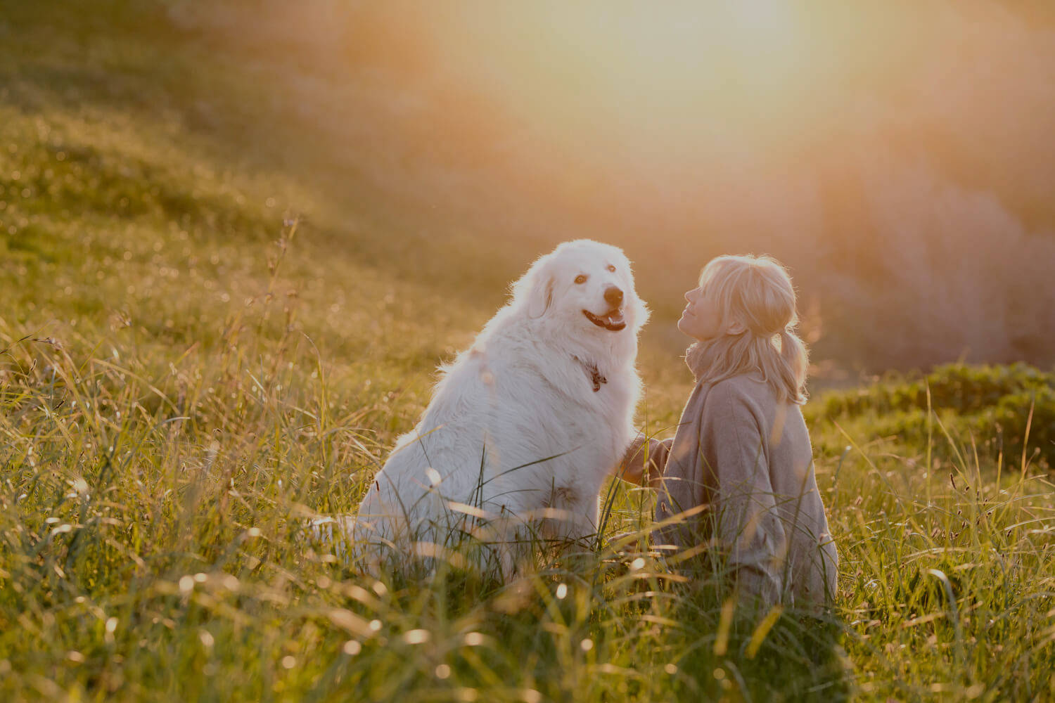 Dog And Girl Sunset View Wallpaper