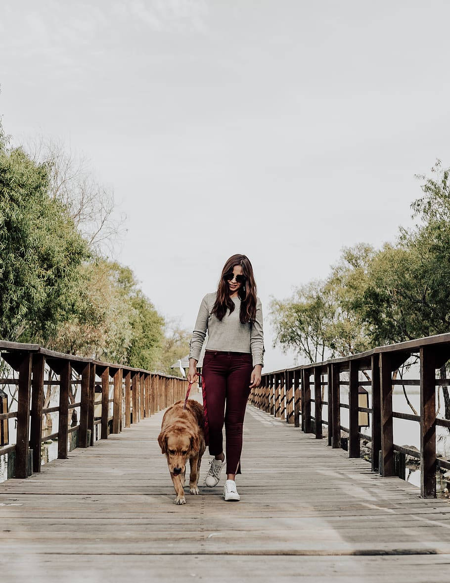 Dog And Girl Walking On A Bridge Wallpaper