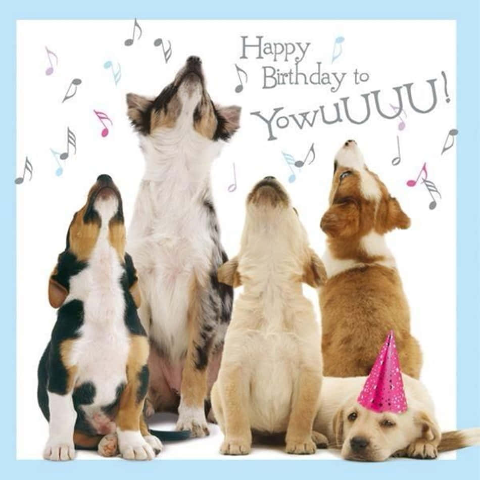 Dog Birthday Cute Happy Singing Picture