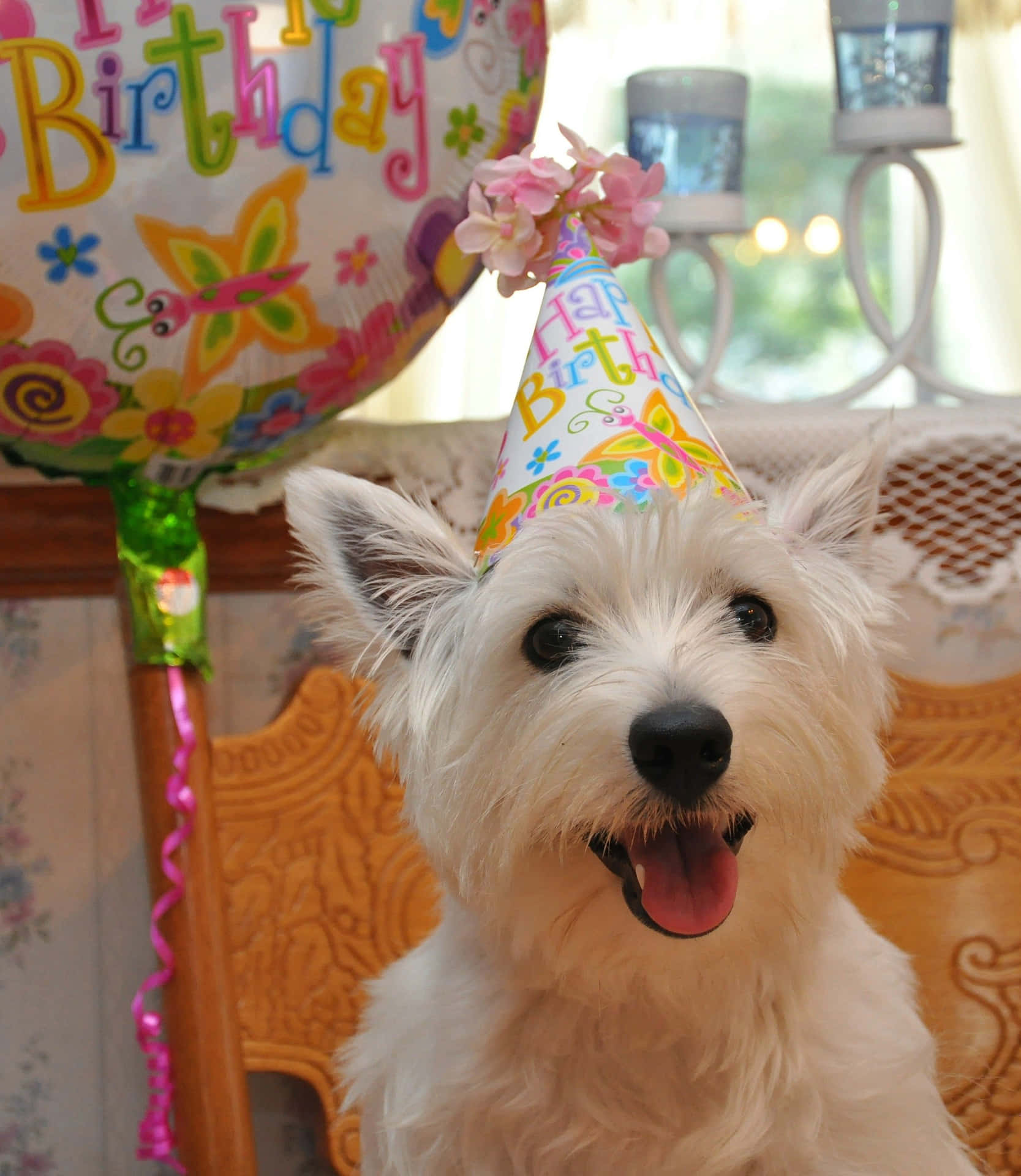 Aniversáriode Cachorro – Foto Da Festa De West Highland White Terrier Para Papel De Parede De Computador Ou Celular.