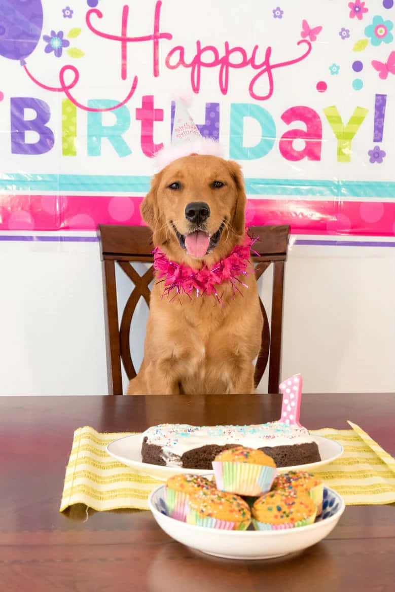 Dog Birthday Golden Retriever Party Cupcake Picture