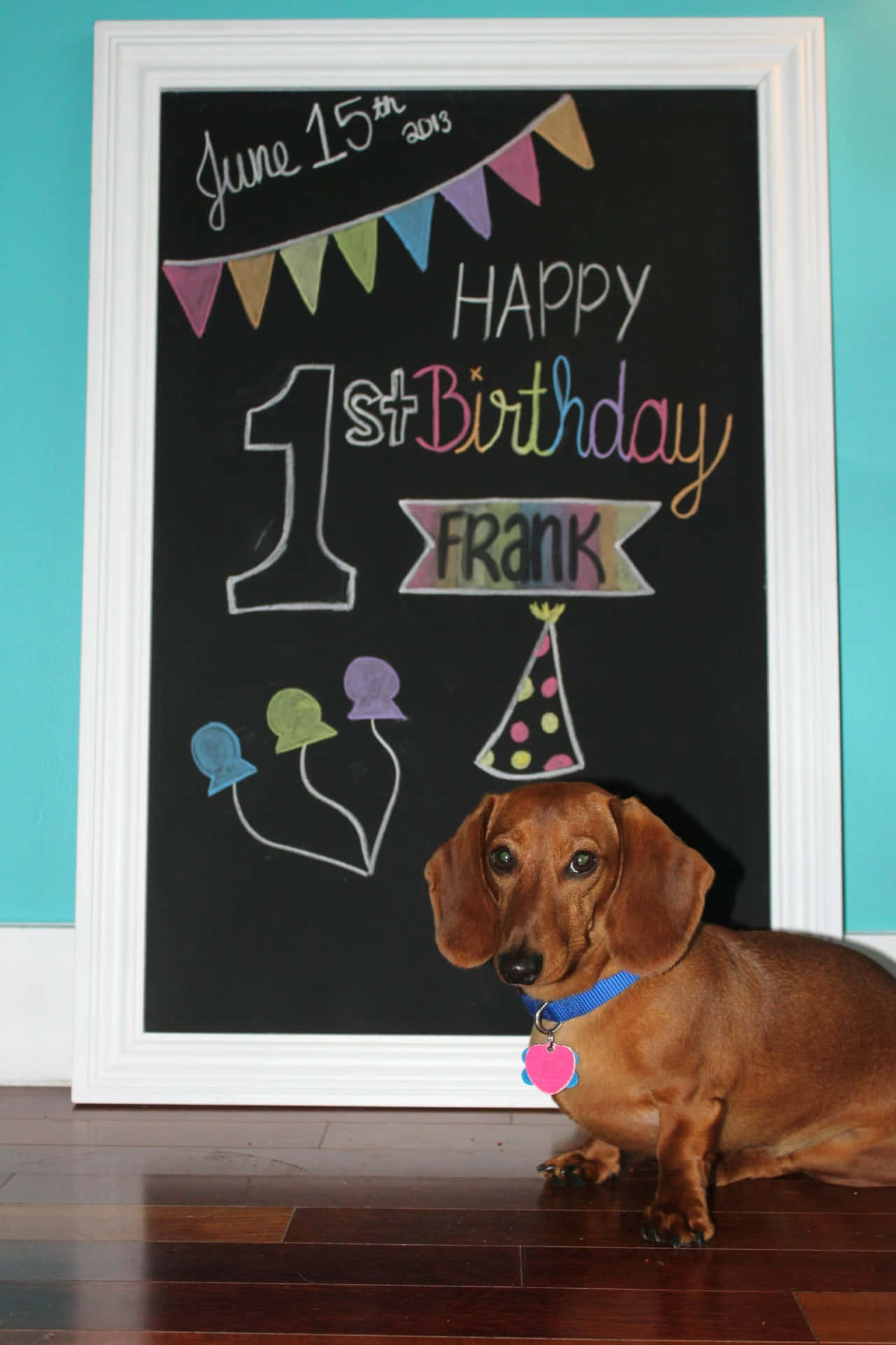 Imagende Celebración Del Primer Cumpleaños De Un Perro Salchicha.