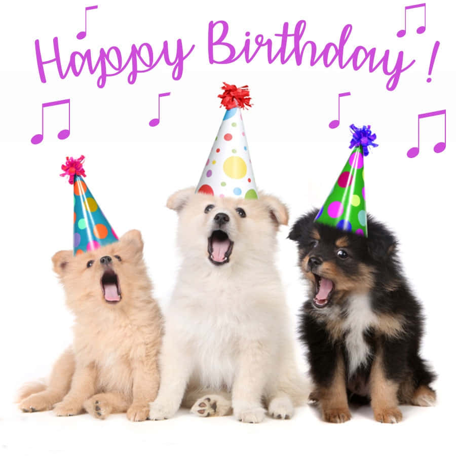 Dog Birthday Three Puppies Singing Picture