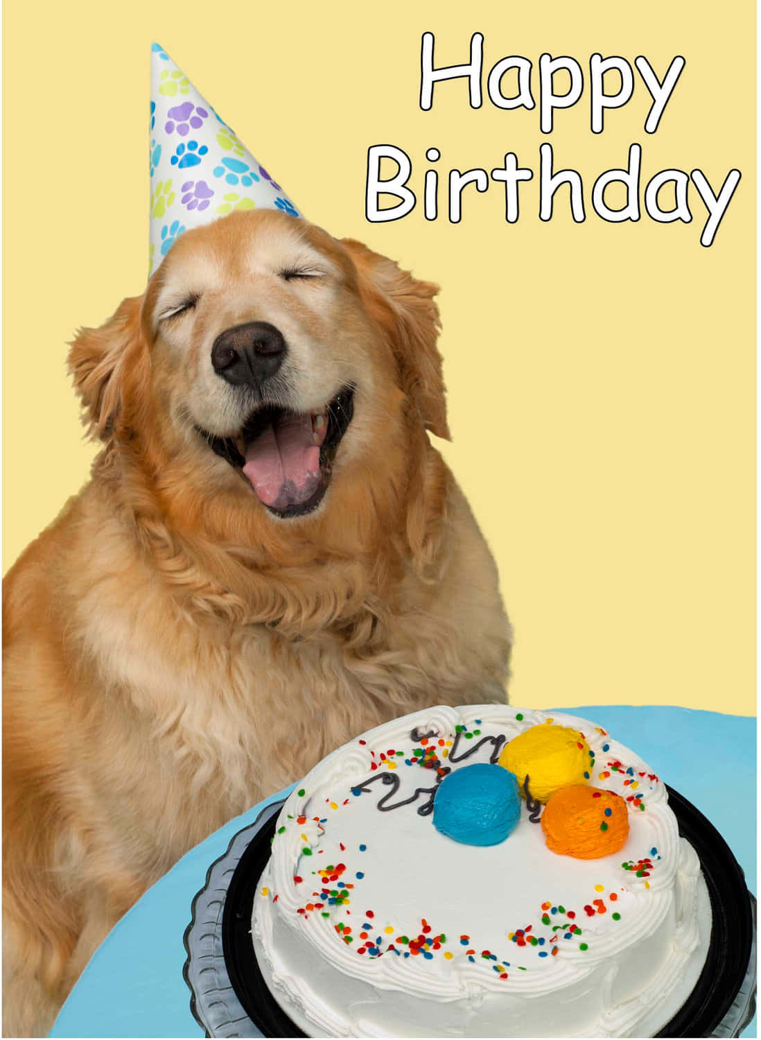 Hundegeburtstaglächelnder Golden Retriever, Partykuchen-bild.