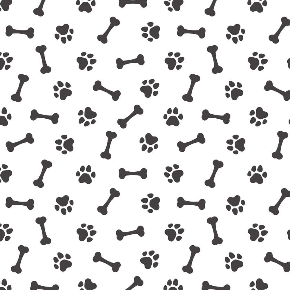 Black And White Dog Bone Pattern