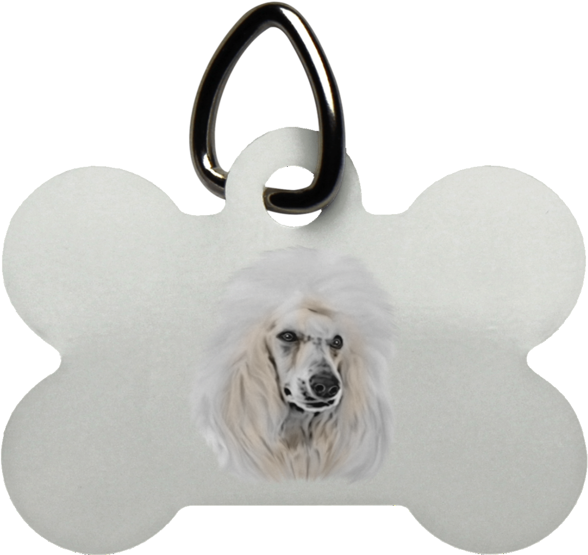 Dog Bone Tagwith Poodle Graphic PNG