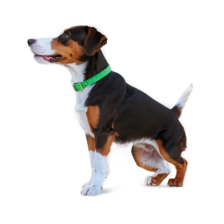 Dog Cartoon Transparent Background Png Jex22 PNG