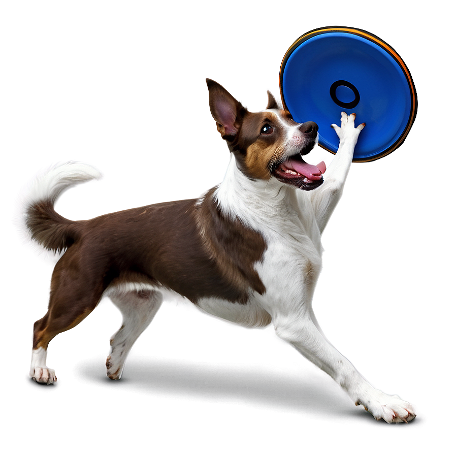 Dog Catching Frisbee Png Jdg98 PNG