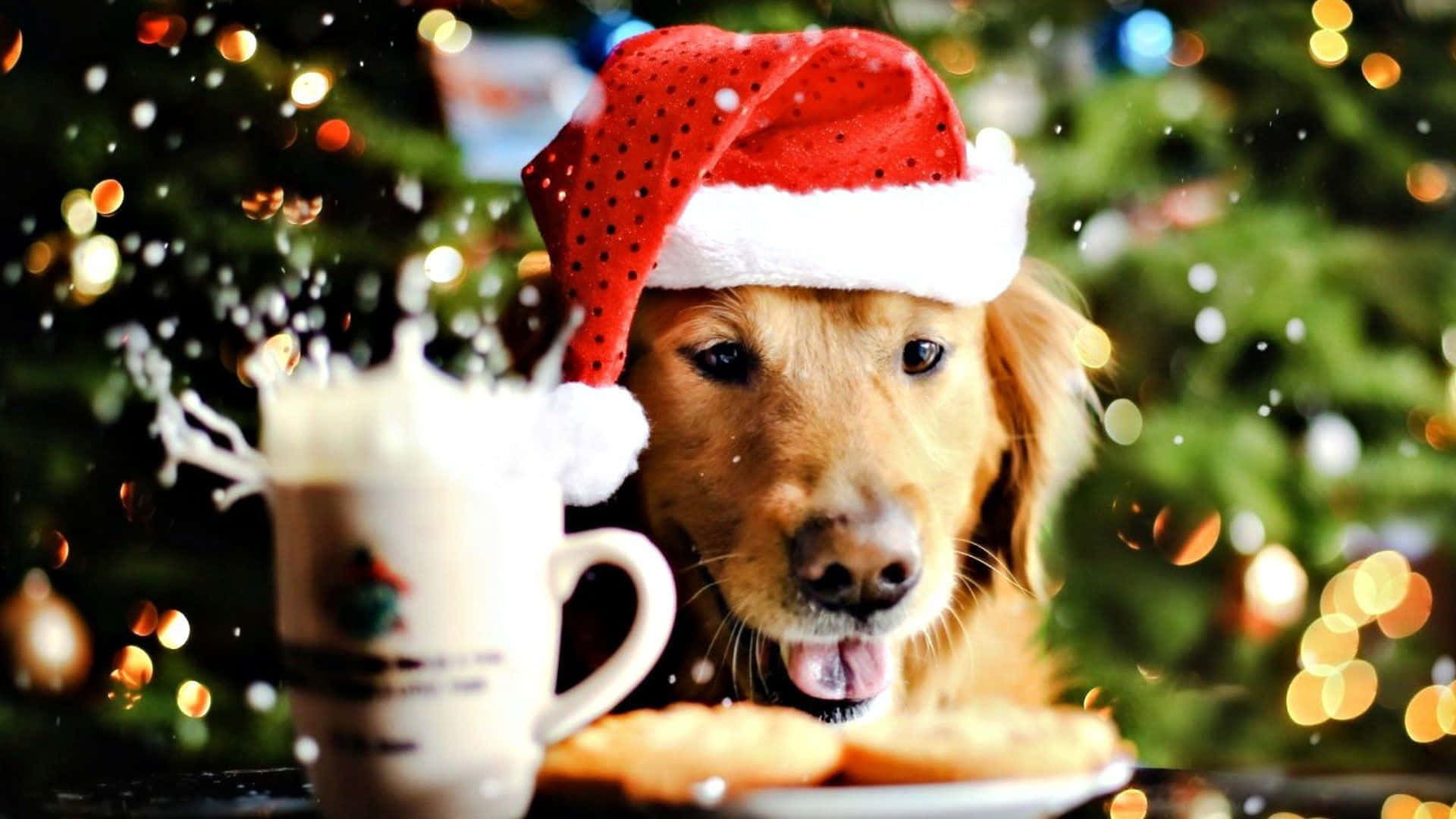 Fotosde Perros Golden Retriever En Navidad Con Taza De Ponche De Huevo.