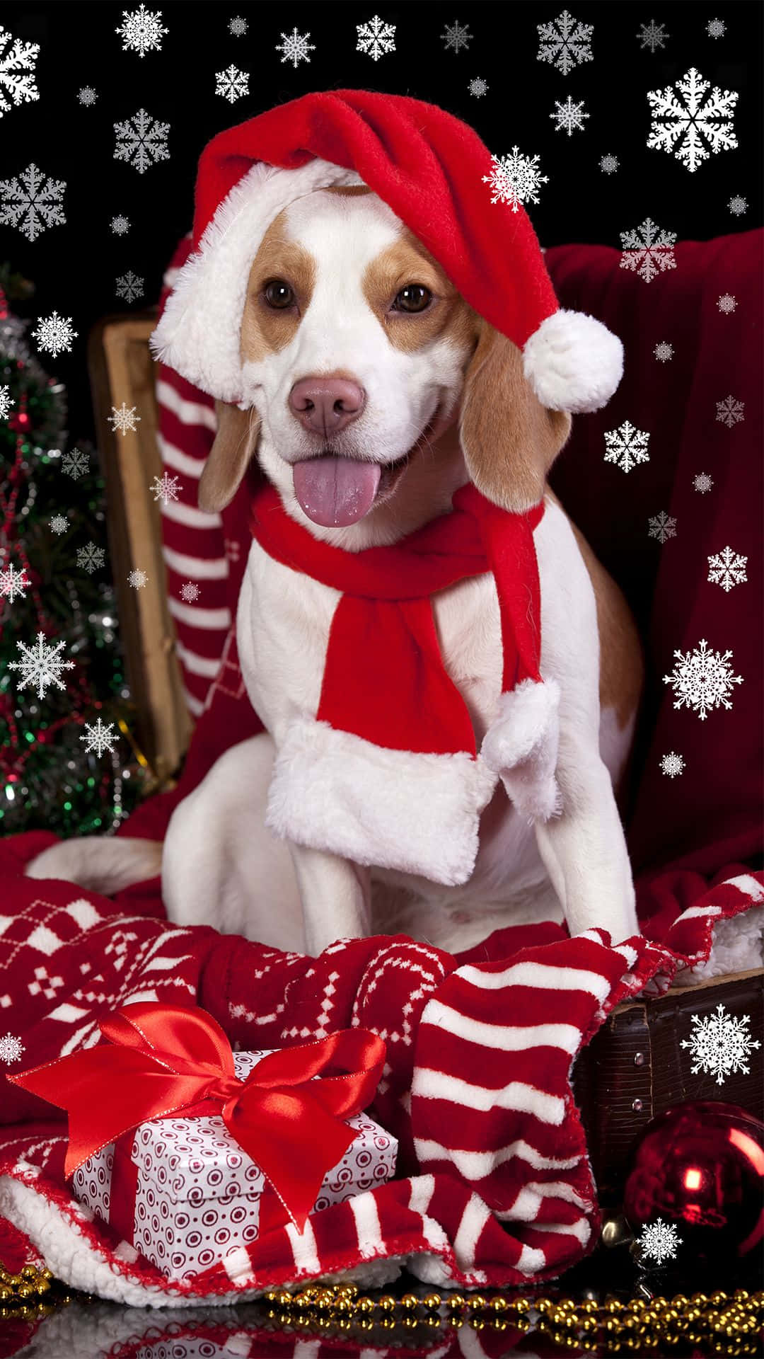 Hund Jul Santa Hat Sne Flig Rediger Billede Tapet