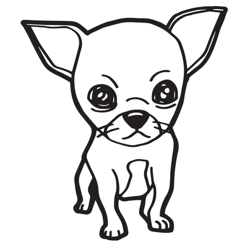 Chihuahua Hund Farvelægningsside Billede