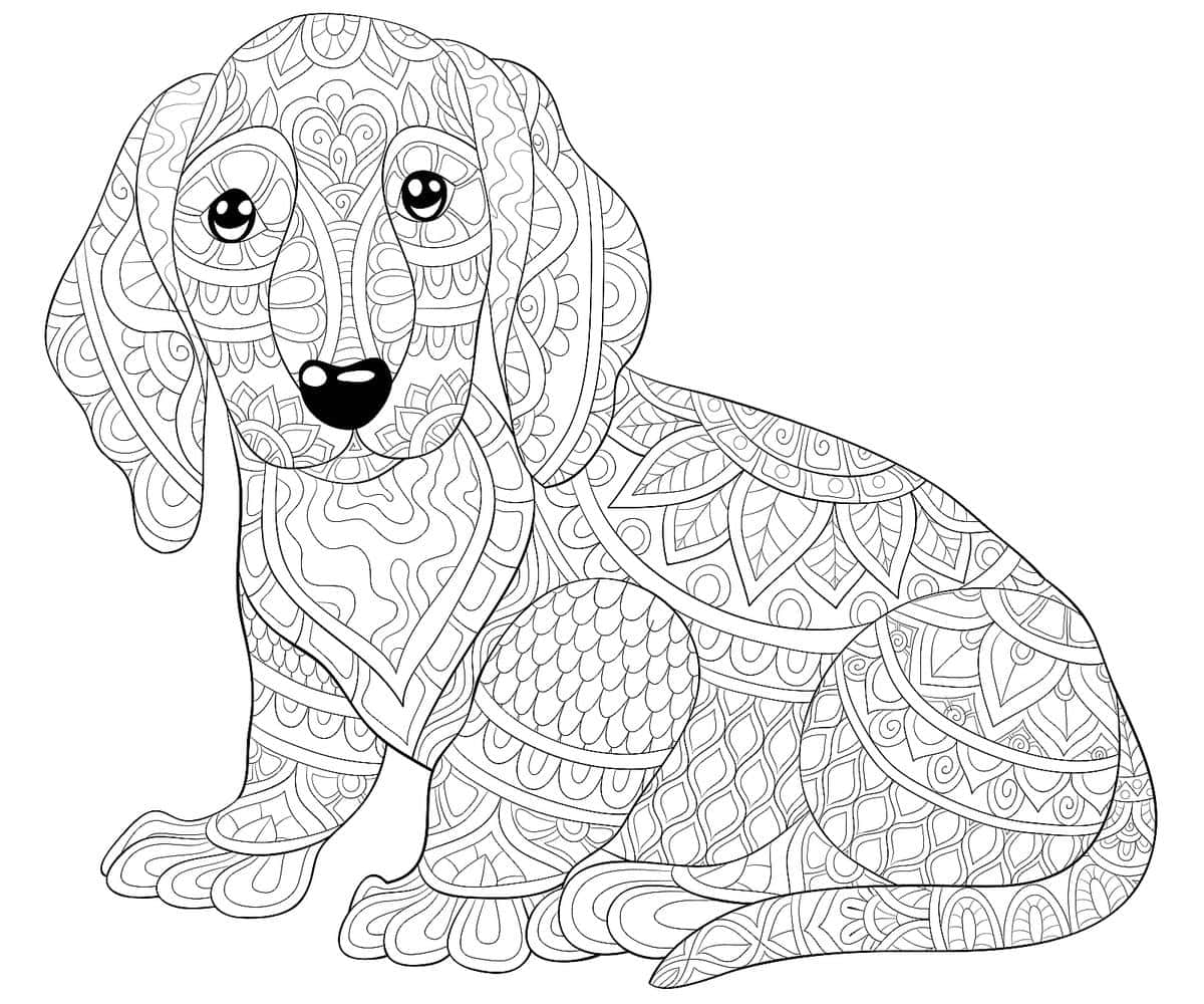 Beagle hund mønster farve tegning billede wallpaper