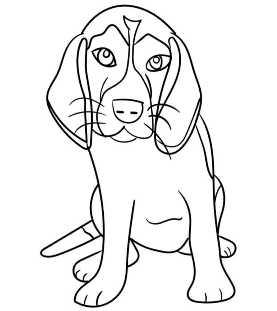 Beagle Hund Farve Side Børnehave Billede