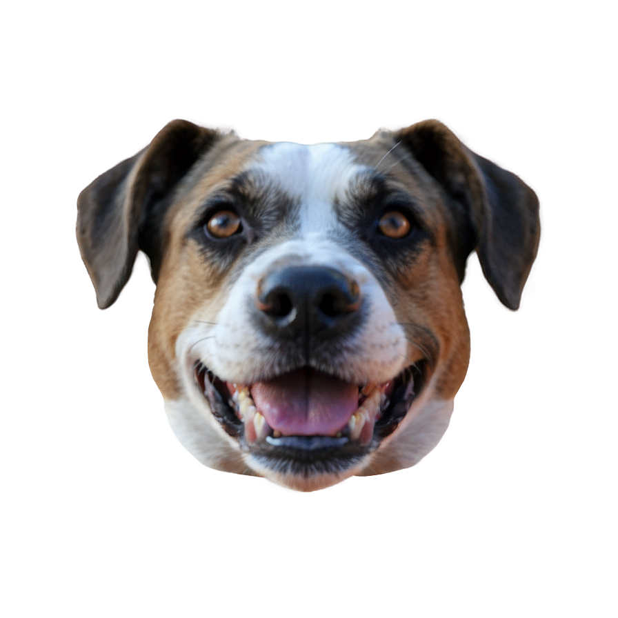 Dog Face Filter Effect Png Nwg25 PNG