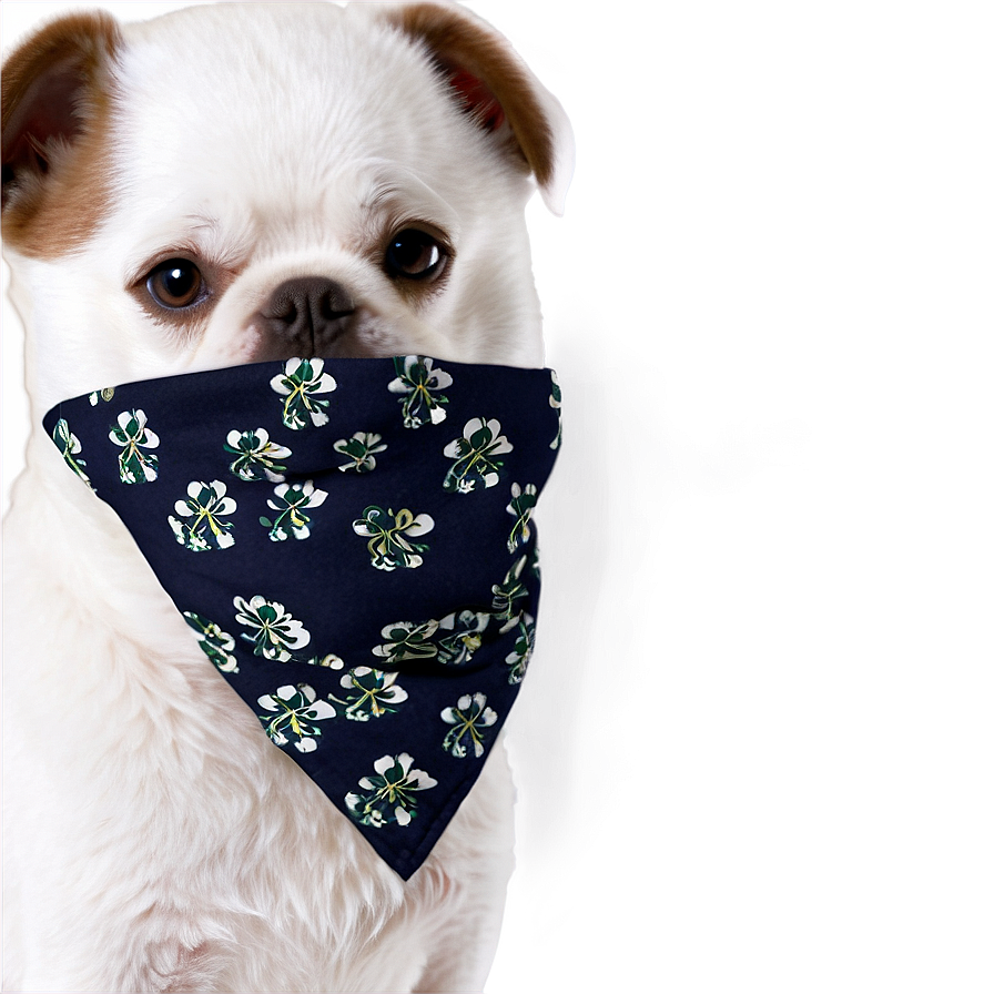 Dog Face With Bandana Png 06212024 PNG