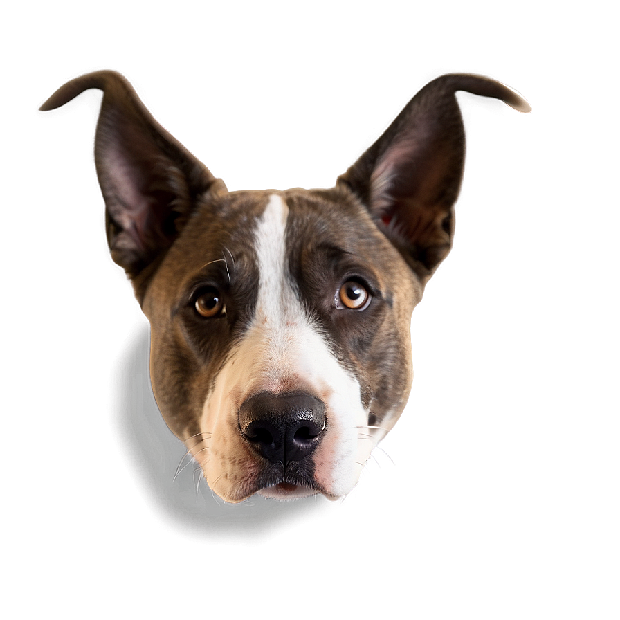 Dog Face With Ears Up Png 96 PNG