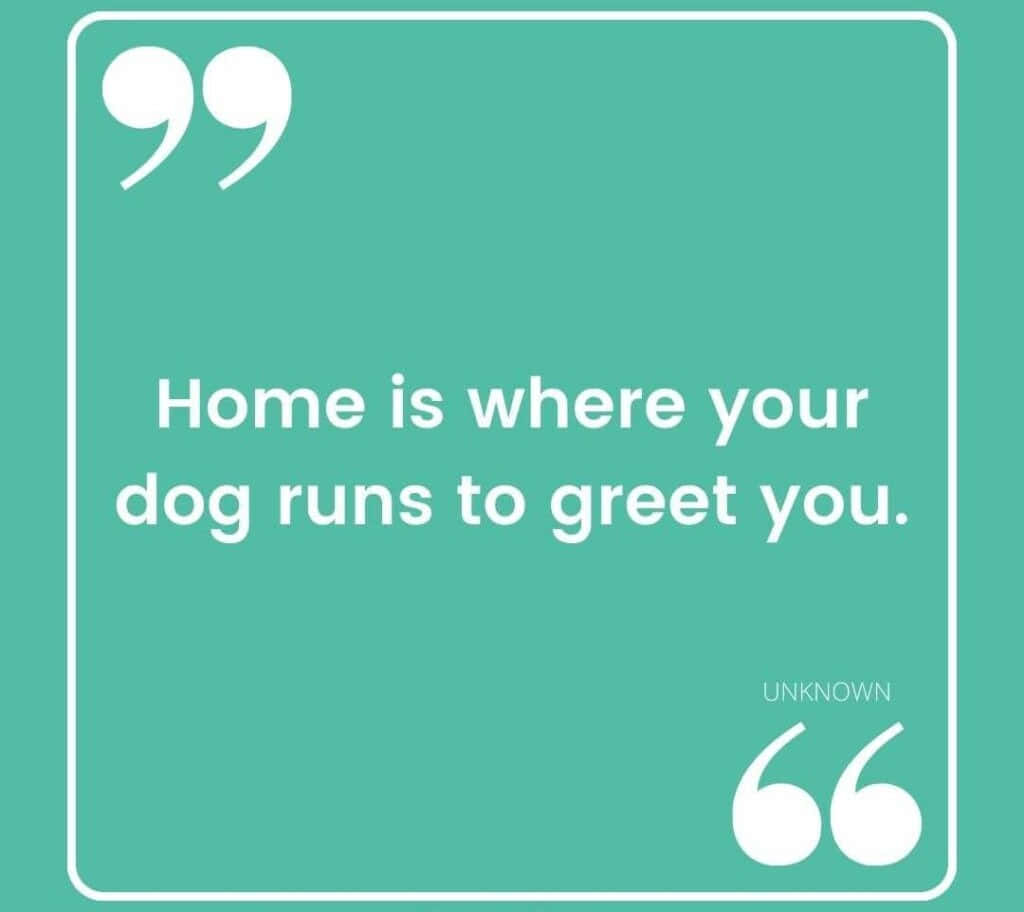 Dog Greeting Home Quote Wallpaper
