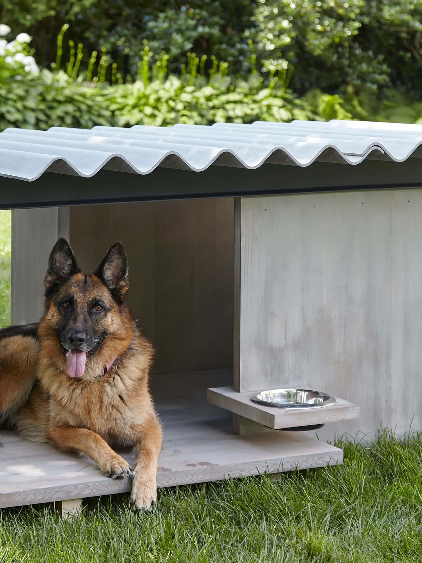 Roofed Dog House Pictures