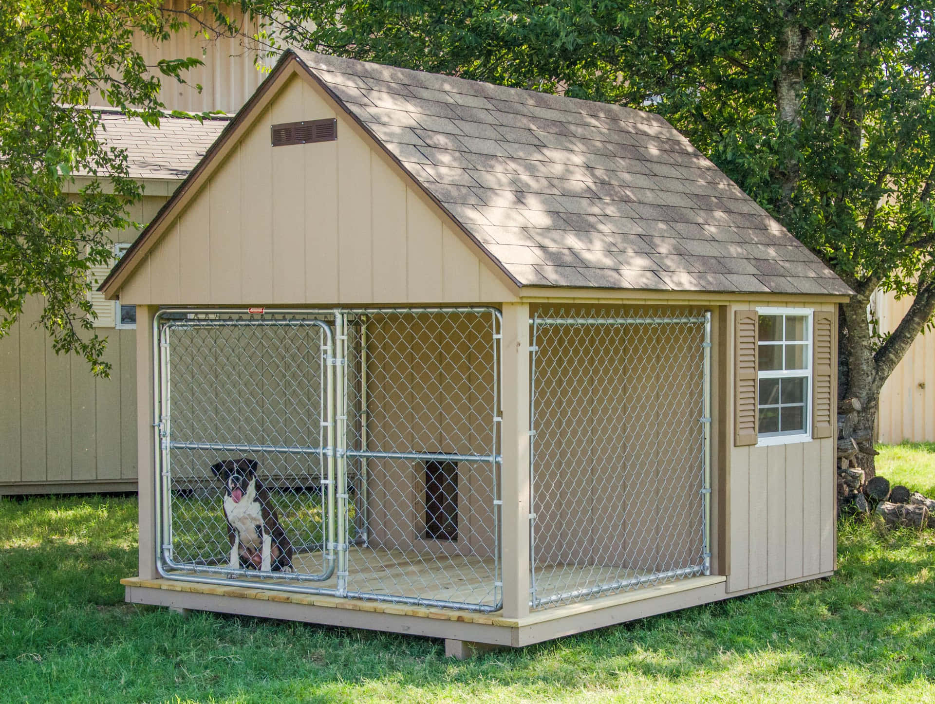Giant Dog House Pictures