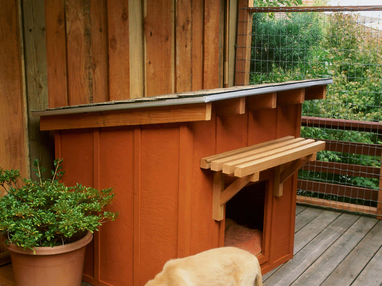 Wooden Dog House Pictures