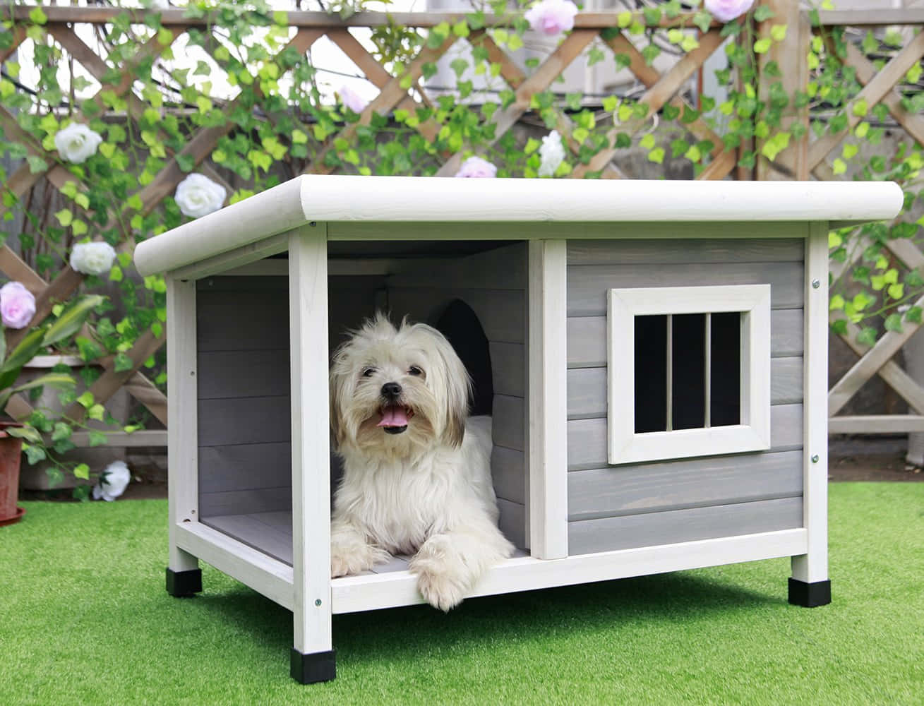 Caption: Cozy Dog House in the Garden