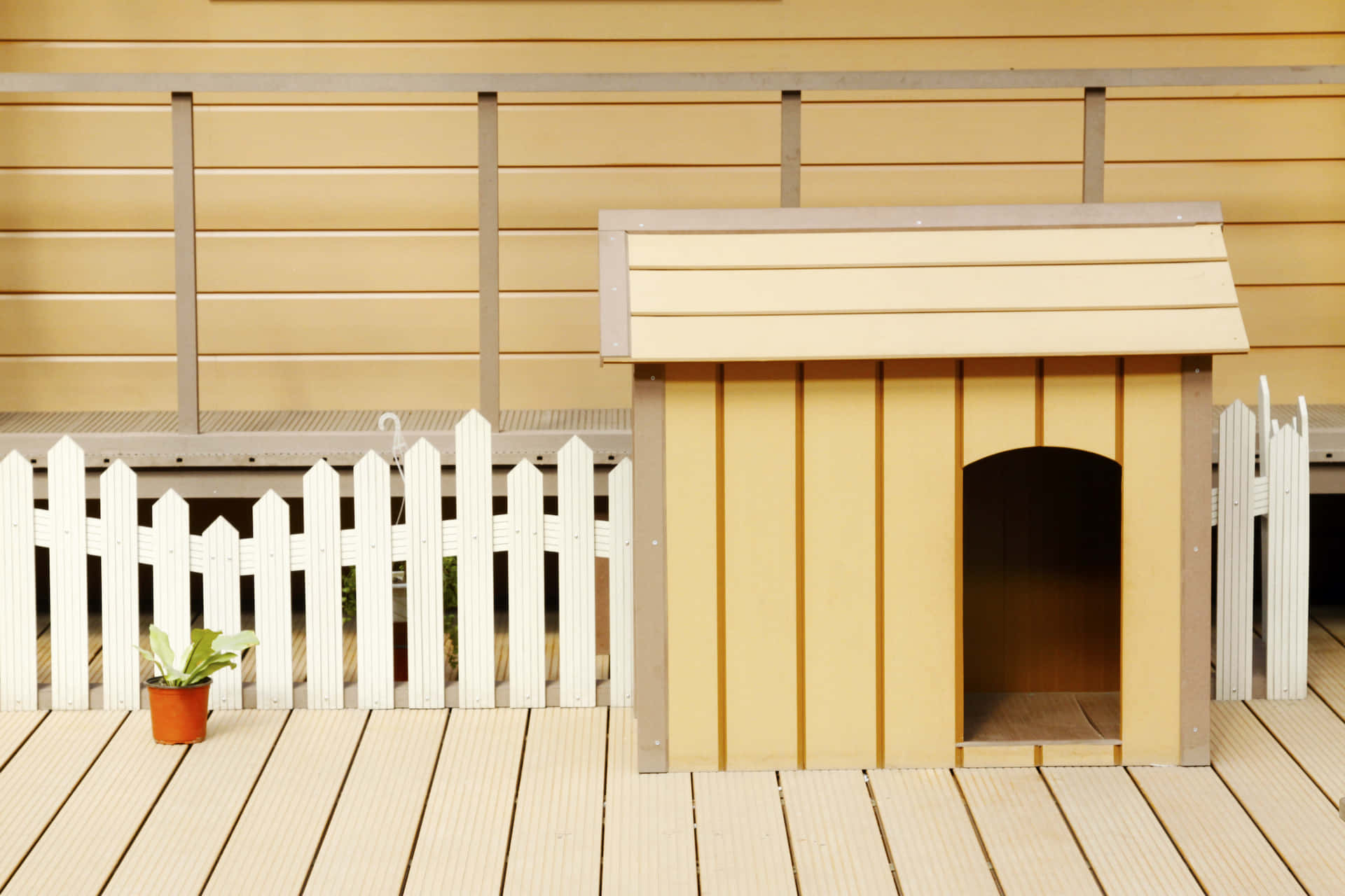 Mini Dog House Pictures