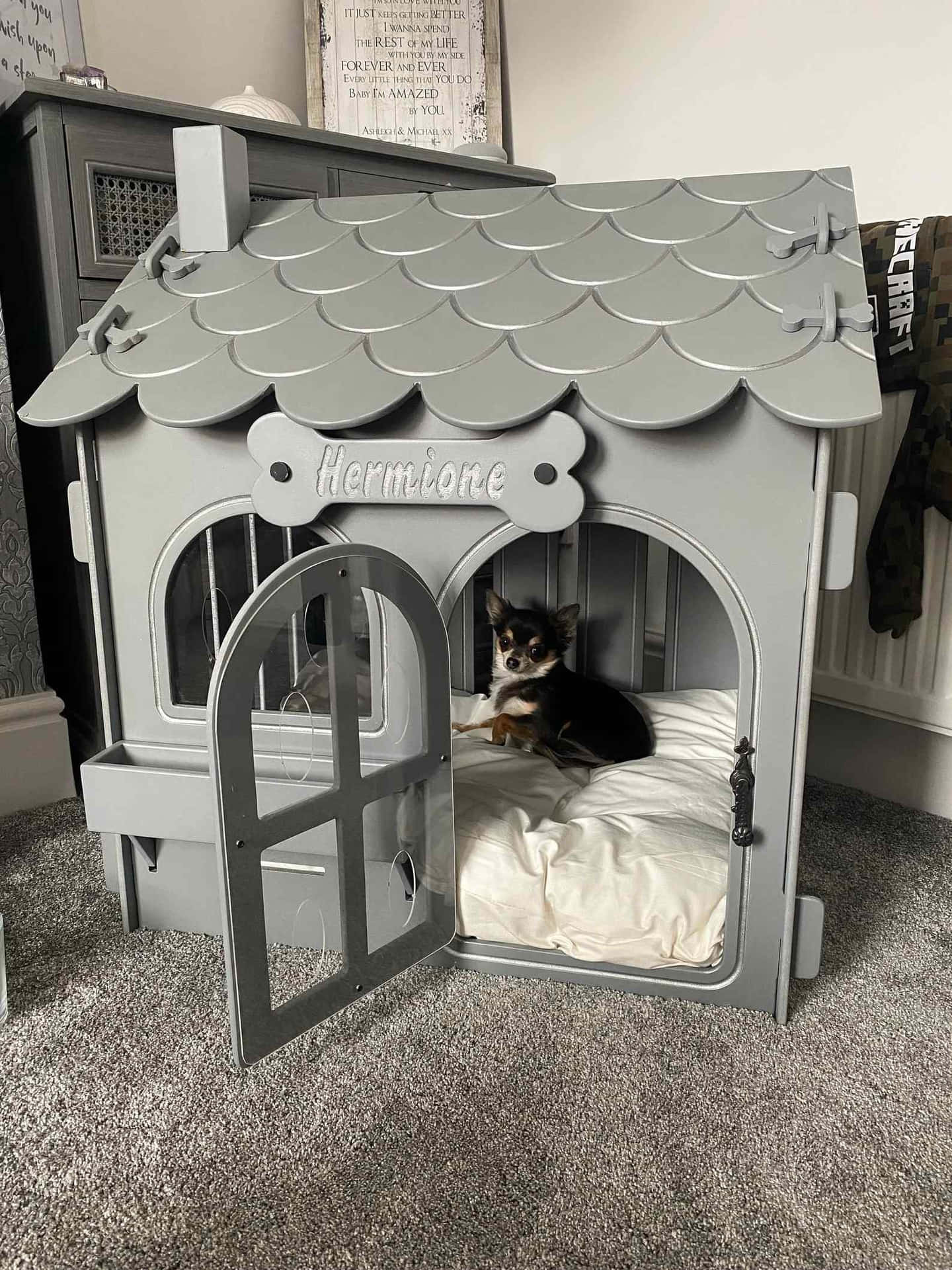 Cozy Dog House Pictures