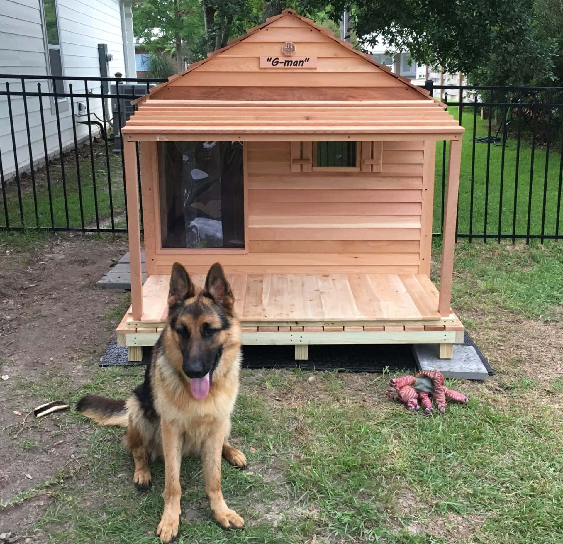 Dog House Pictures