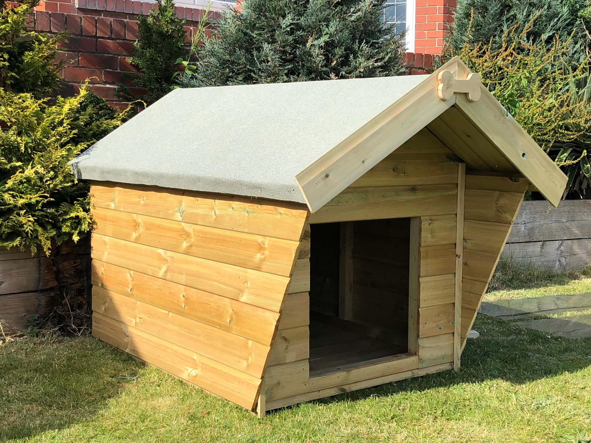 Suresheds Dog House Pictures