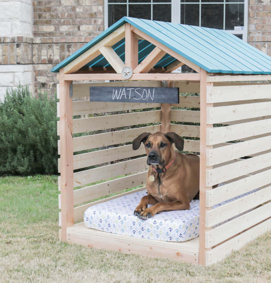 Watson's Dog House Pictures