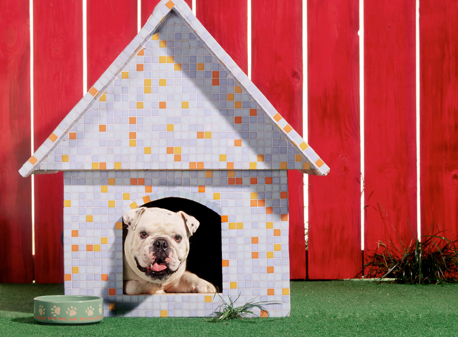 Pixelated Dog House Pictures