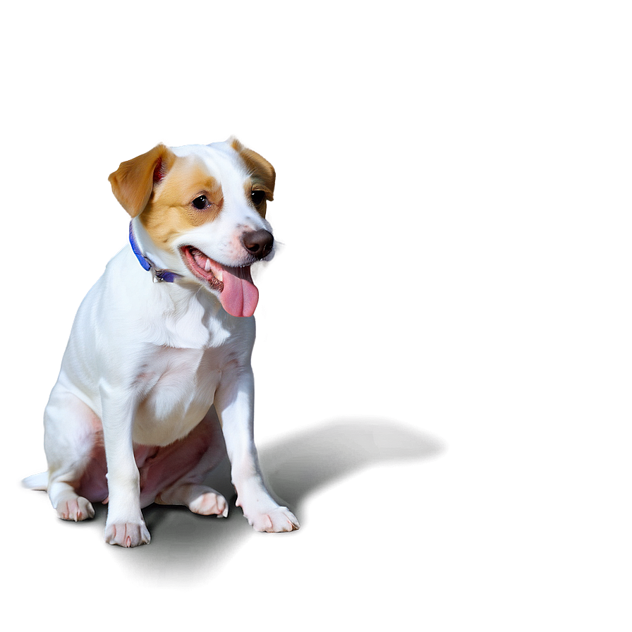 Dog In Costume Transparent Png Idr PNG