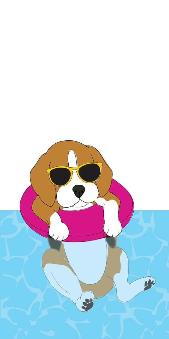 Uncane Beagle Con Gli Occhiali Da Sole Sta Galleggiando In Piscina. Sfondo