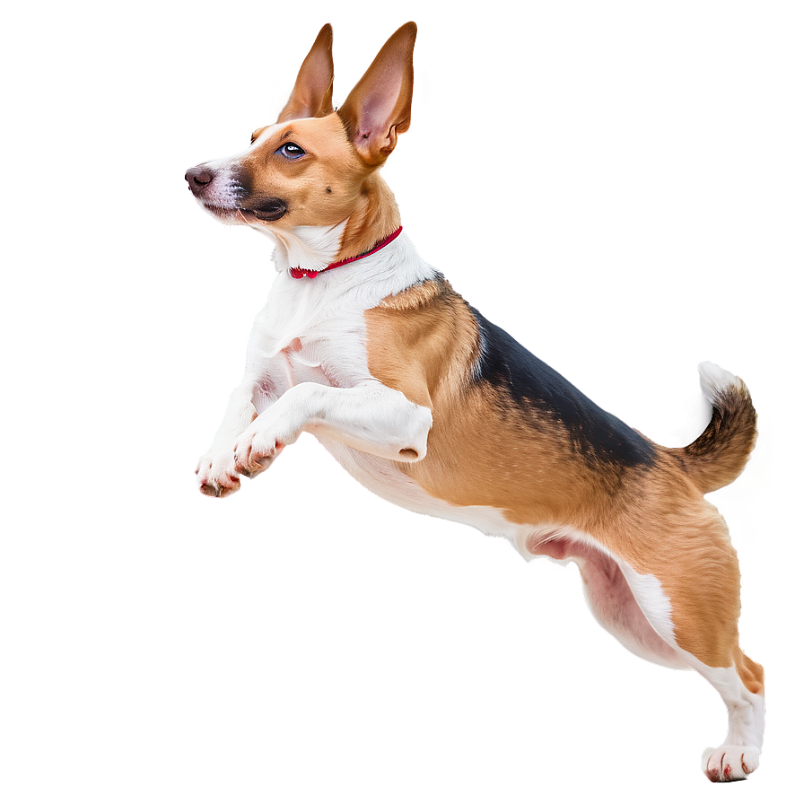 Dog Jumping Transparent Png Iek33 PNG