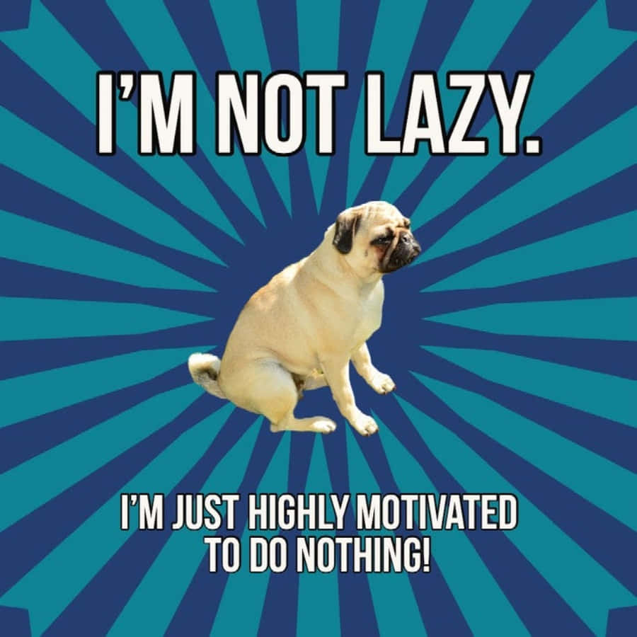 Dog Meme Lazy Unmotivated Picture