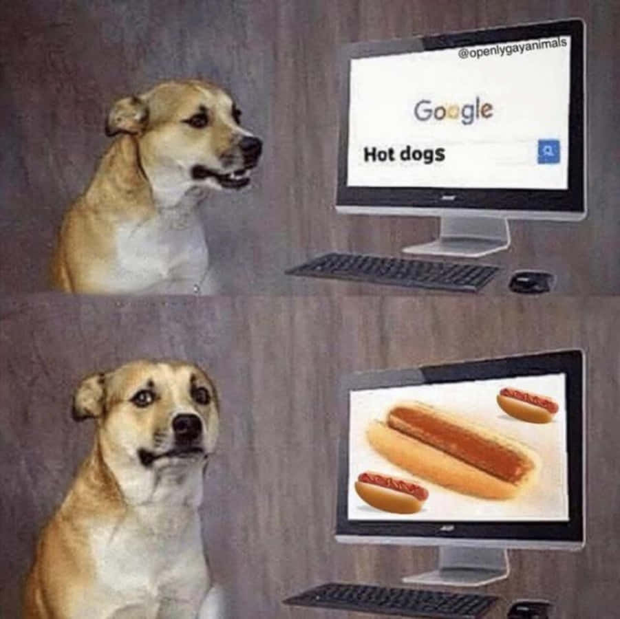 Hotdog Silly Dog Meme Picture