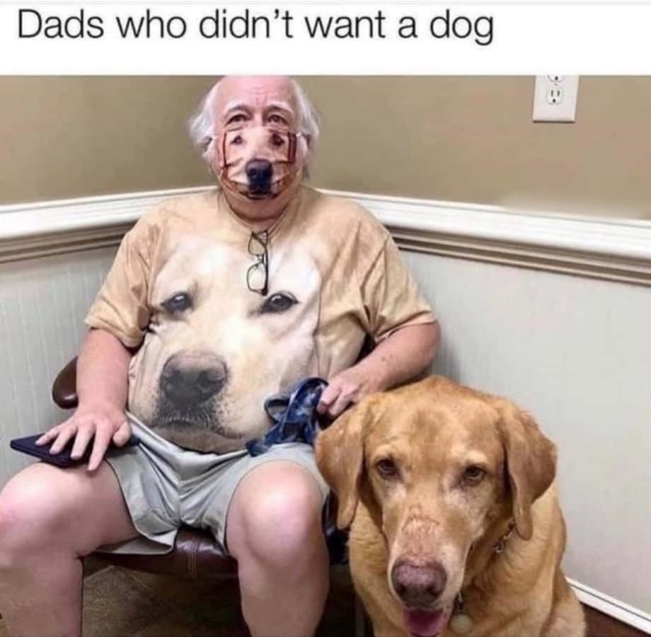 Dog Old Man Meme Picture