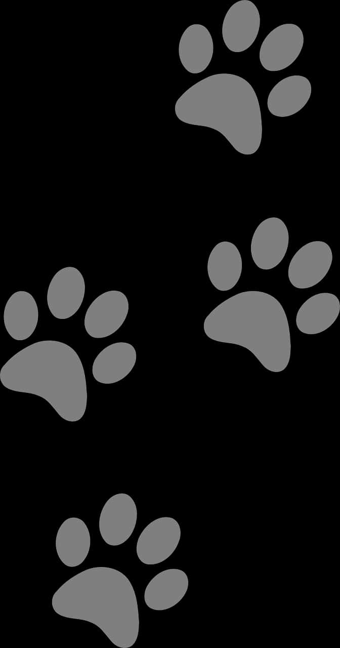 Dog Paw Prints Vector Illustration PNG