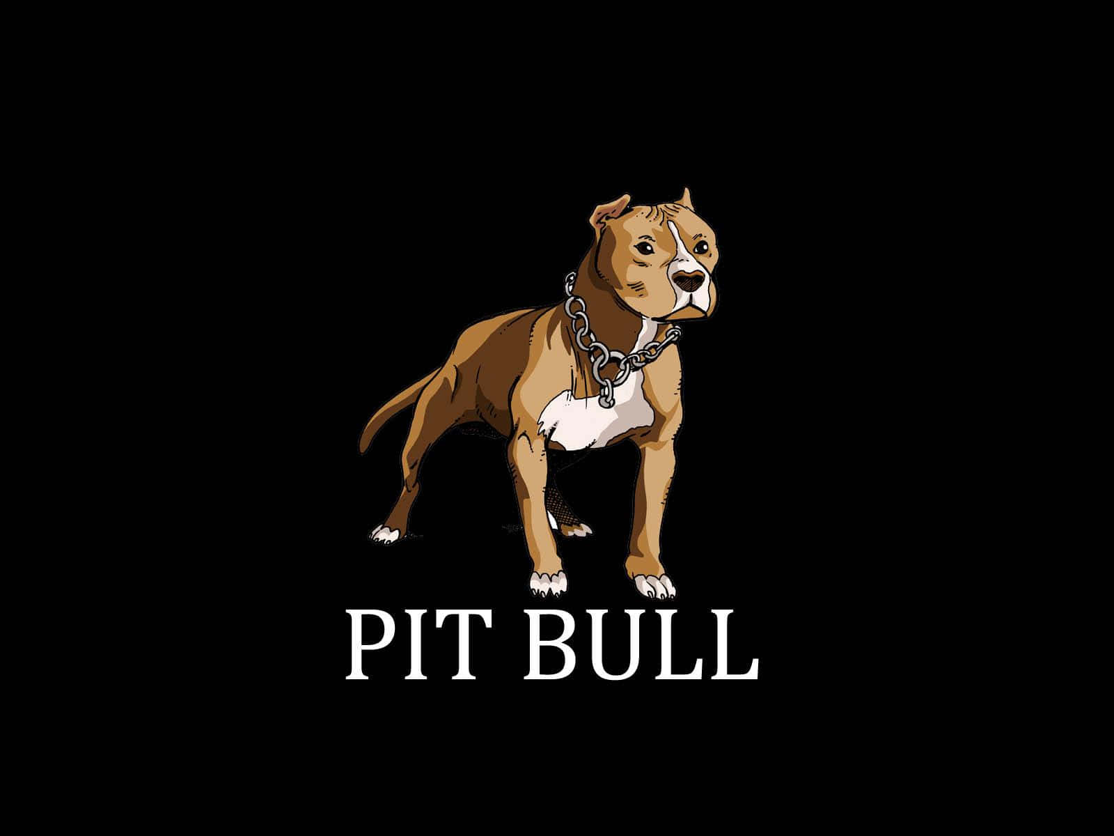 Dog Pitbull Cartoon Pictures